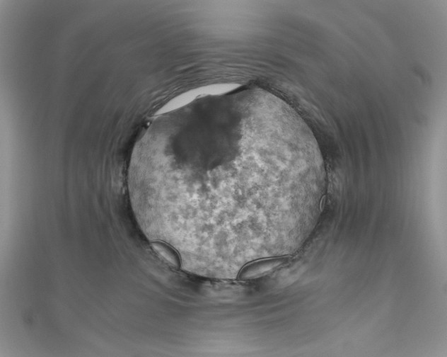 X0000111030331200907161330