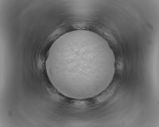 X0000111030332200907161329