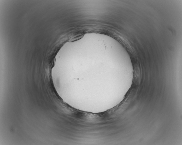 X0000111030333200907161329