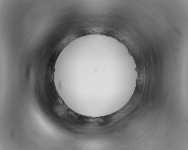 X0000111030334200907161329