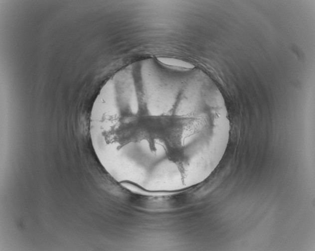 X0000111030335200907161329