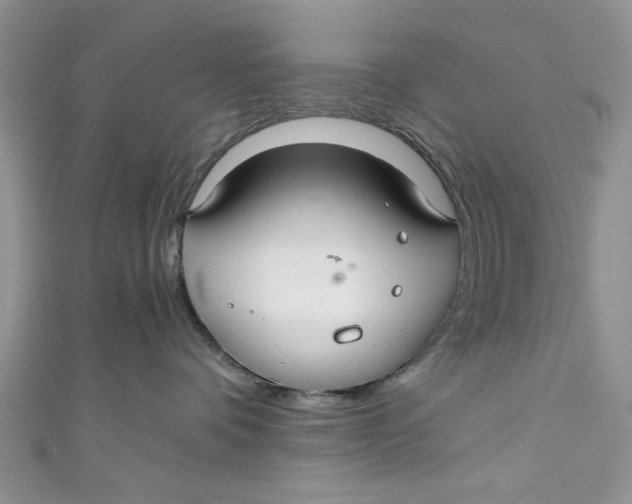 X0000111030336200907161329