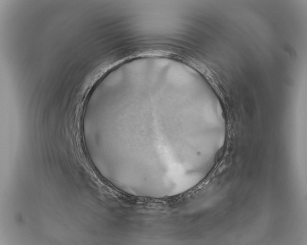 X0000111030337200907161329