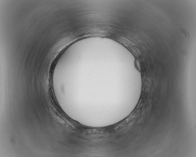 X0000111030338200907161329