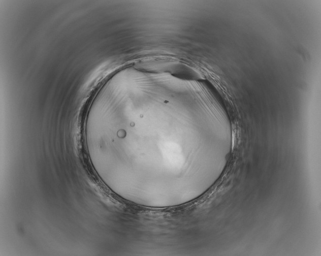 X0000111030339200907161329