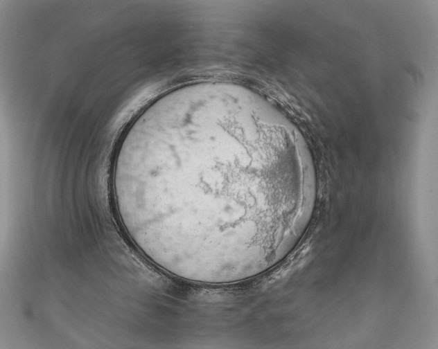 X0000111030341200907161329