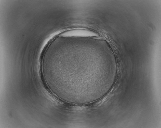 X0000111030342200907161329