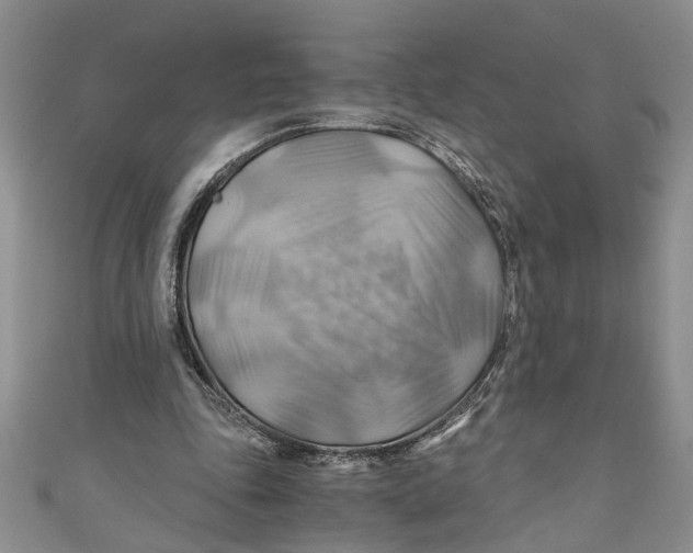 X0000111030343200907161329