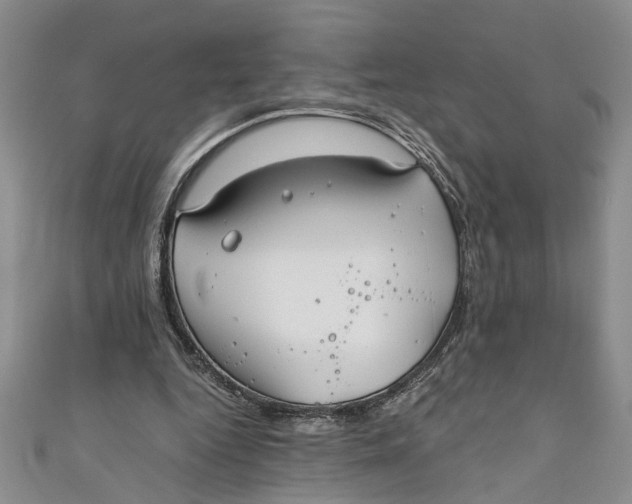 X0000111030344200907161329