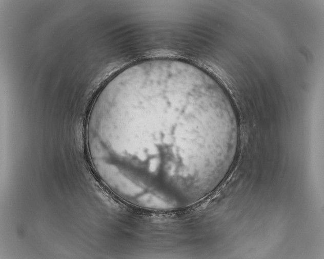 X0000111030345200907161329