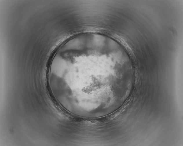 X0000111030346200907161329