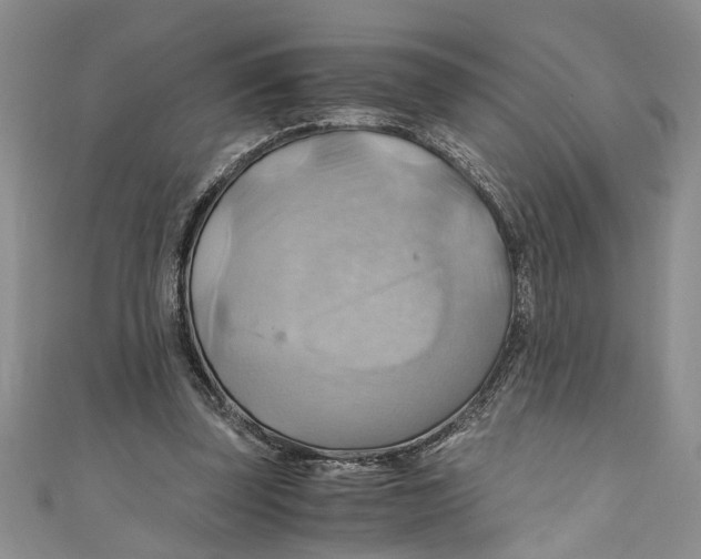 X0000111030347200907161329