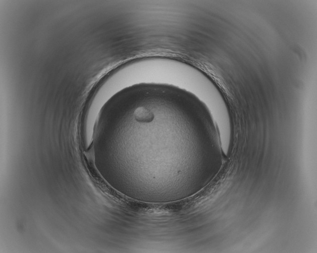 X0000111030348200907161329