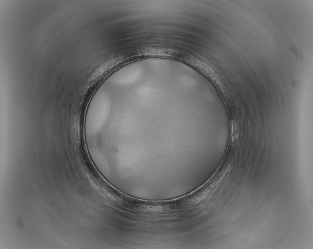 X0000111030349200907161329