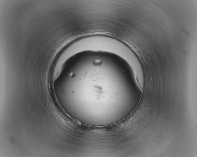 X0000111030350200907161329