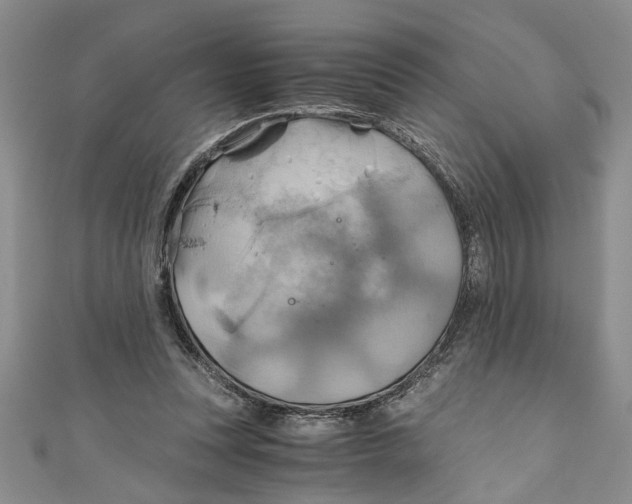 X0000111030351200907161329