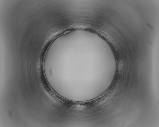 X0000111030352200907161329