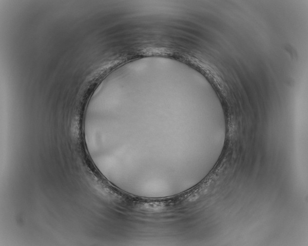 X0000111030353200907161329