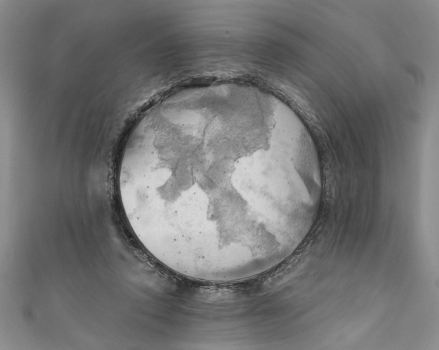 X0000111030354200907161329