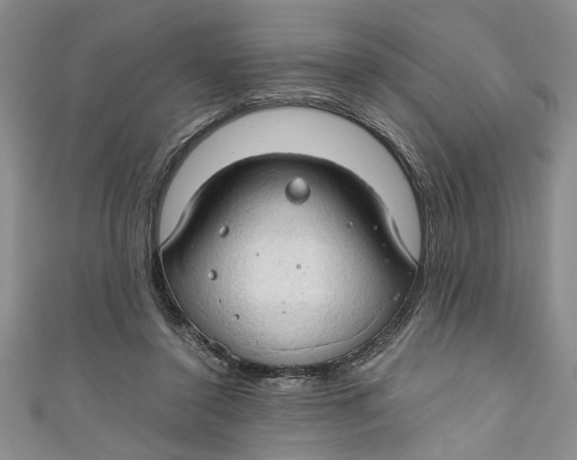 X0000111030356200907161329