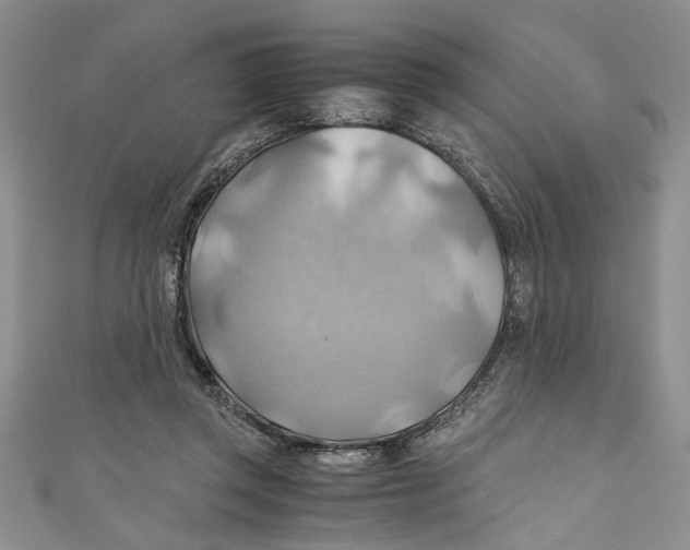 X0000111030357200907161329