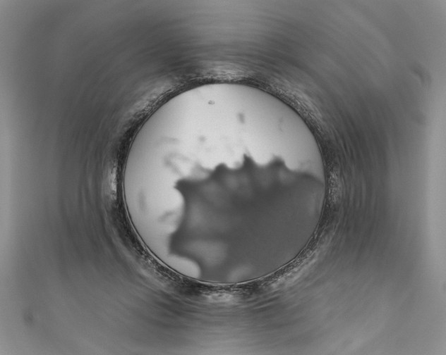 X0000111030358200907161329