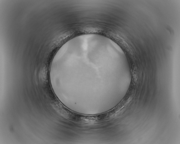 X0000111030359200907161329