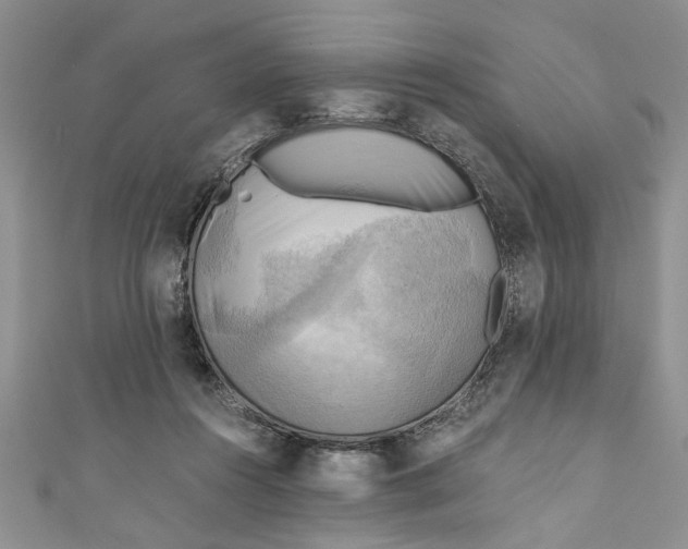 X0000111030360200907161329