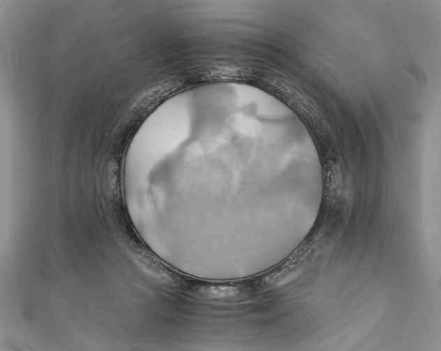 X0000111030361200907161329