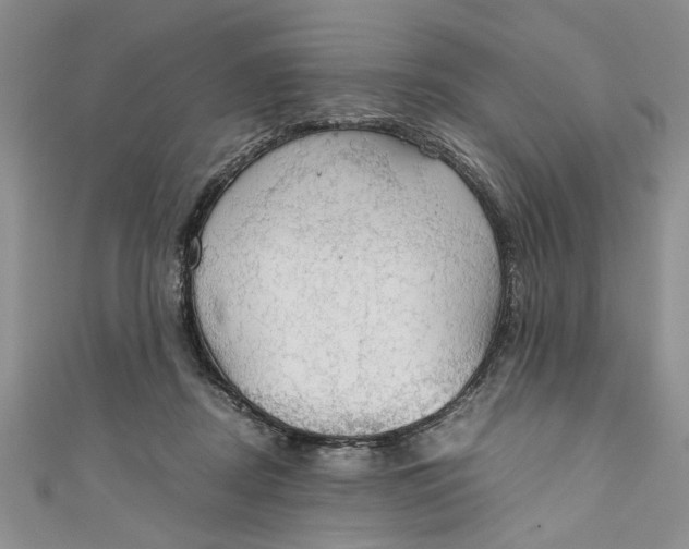 X0000111030362200907161329