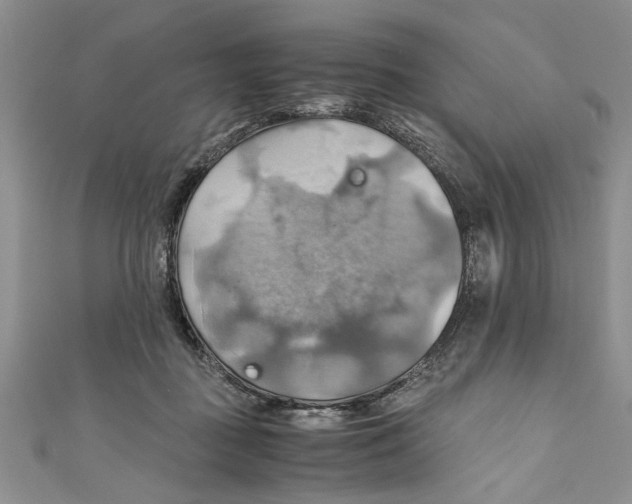 X0000111030363200907161329