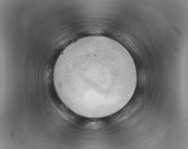 X0000111030364200907161329