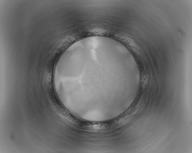 X0000111030365200907161329