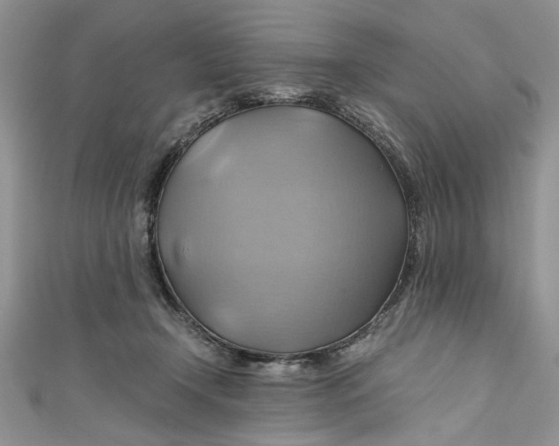 X0000111030366200907161329