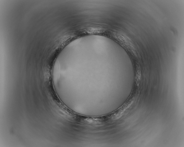 X0000111030367200907161329