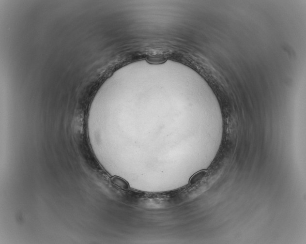 X0000111030368200907161329