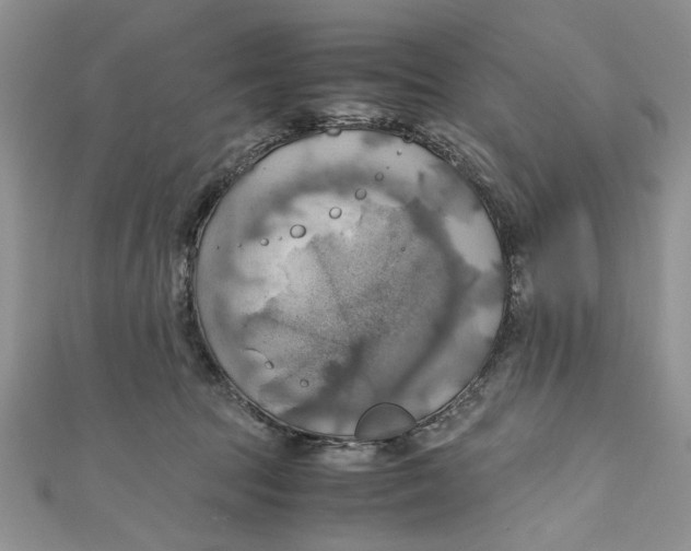 X0000111030369200907161329