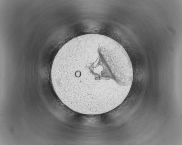 X0000111030370200907161329