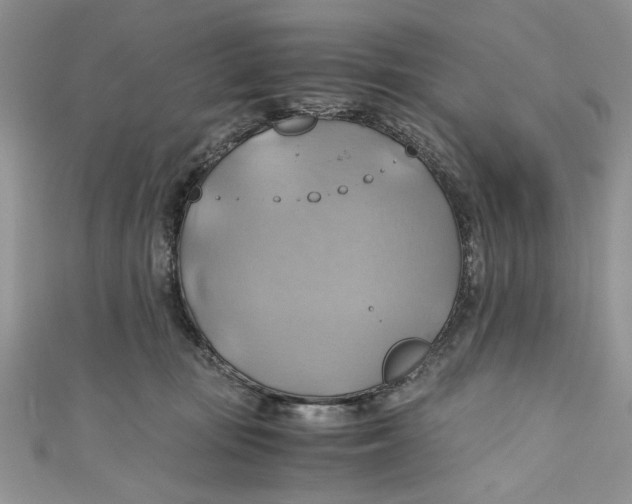 X0000111030371200907161329