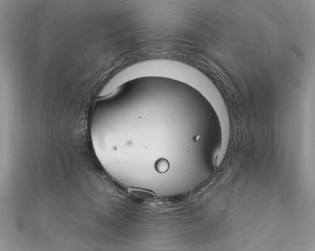 X0000111030372200907161329