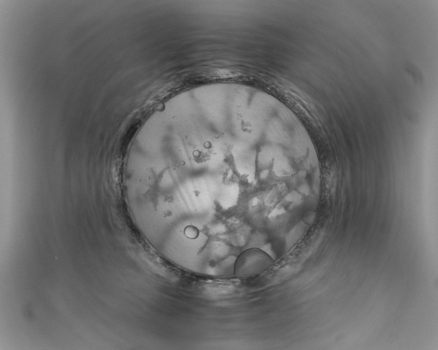 X0000111030373200907161329