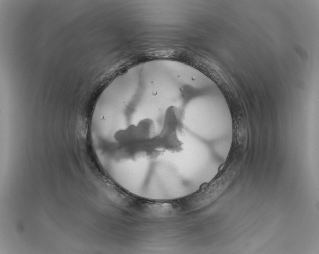 X0000111030374200907161329