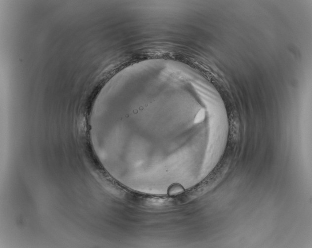 X0000111030375200907161329