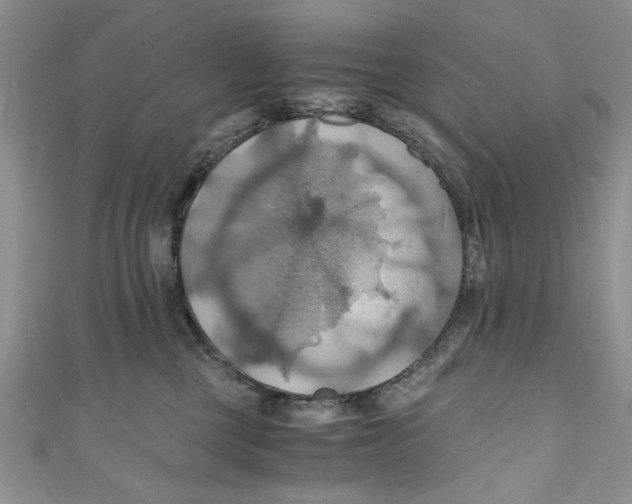 X0000111030377200907161329