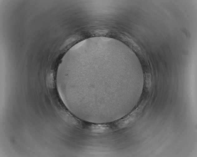 X0000111030378200907161329