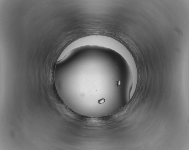 X0000111030380200907161329