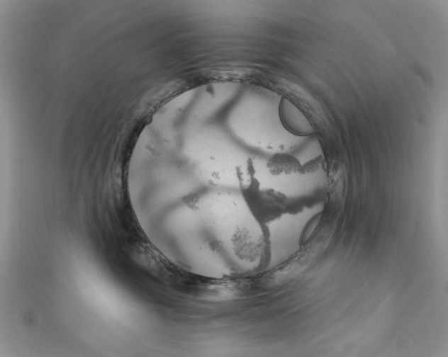 X0000111030381200907161329