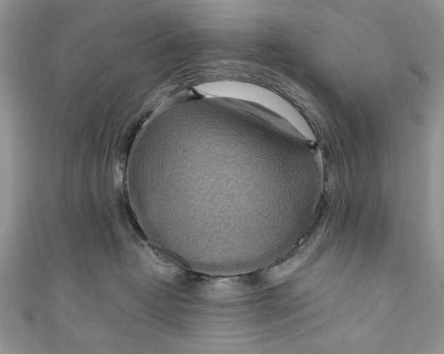 X0000111030382200907161329