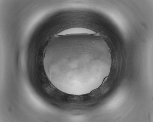 X0000111030383200907161329