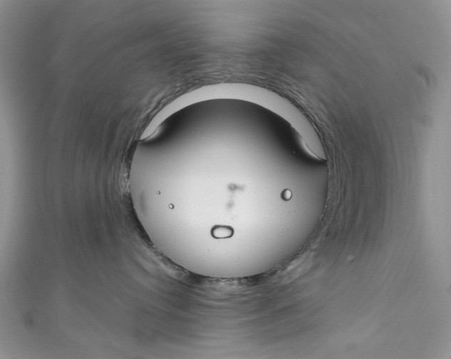 X0000111030384200907161329